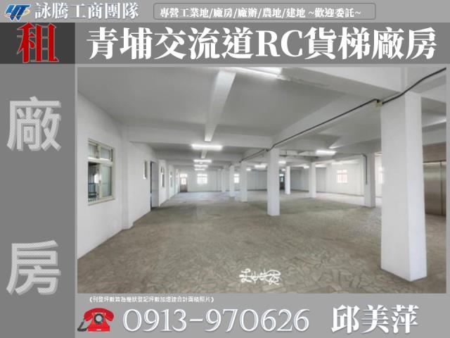 桃園大園廠房-0